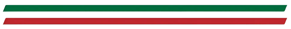 flag liner